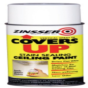 Rust-oleum Industrial Zinsser Covers Up Stain Sealing Ceiling Paints ...