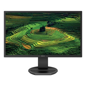 Eizo nanao tech Eizo FlexScan L997-BK Monitor 21.30