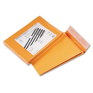 Quality Park Redi-Strip Catalog Envelopes 9.5x12.5 - 28lb White Paper, 100/Box