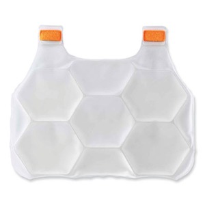 Chill-Its 6220 Phase Change Cooling Vest Charge Packs, Small/Medium, 12 x 16.25, Ships in 1-3 Business Days Chill-Its 6220 Phase Change Cooling Vest Charge Packs, Small/Medium, 12 x 16.25, Ships in 1-3 Business Days