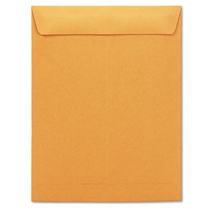 Business Source Dupont Tyvek Catalog Envelopes 