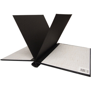 Roaring spring thesis binder picture