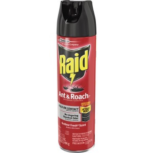 Raid Ant/Roach Killer Spray - SJN669798CT - Shoplet.com