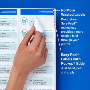 Avery Shipping Labels, Glossy Clear, 2" x 4" , 100 Labels (6522 ...