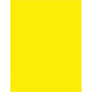 Pacon Inkjet, Laser Printable Multipurpose Card Stock - PACP101172 ...
