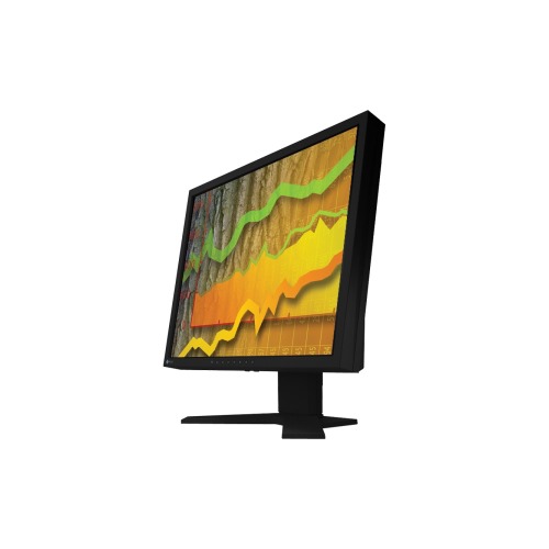 eizo flexscan s1902