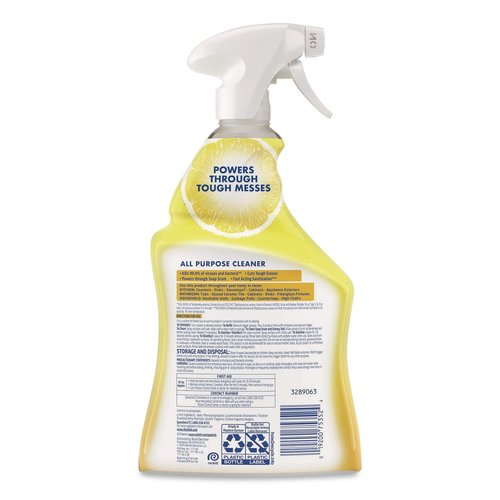 LYSOL Brand Ready-to-Use All-Purpose Cleaner - RAC75352CT