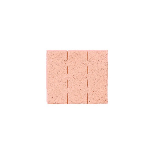 Ferris Polymem WIC Cavity Wound Filler 3