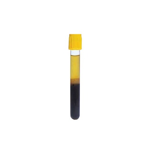 Becton Dickinson BD Vacutainer Tube, Gold BD Hemogard Closure, 13 x ...