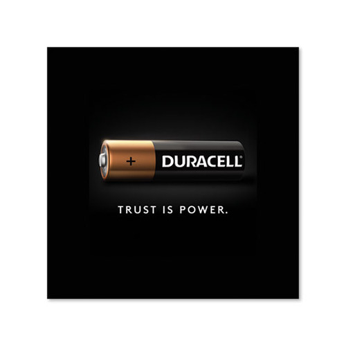 Duracell MN15P36 Power Boost CopperTop Alkaline AA Batteries (36/Pack) 