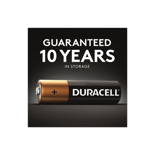 Duracell Coppertop Alkaline Batteries AA