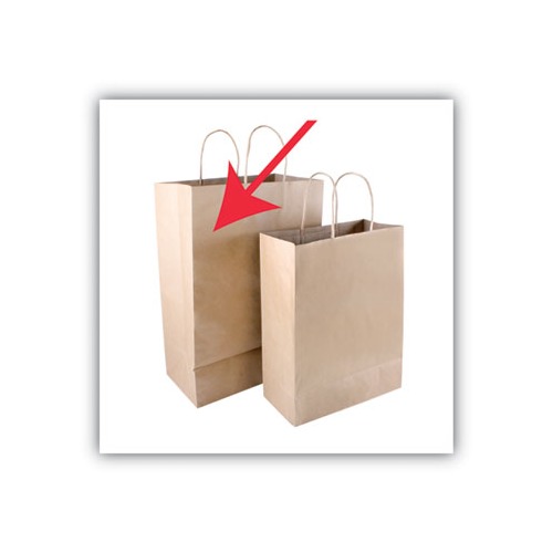 Sparco Kraft Paper Bags - White