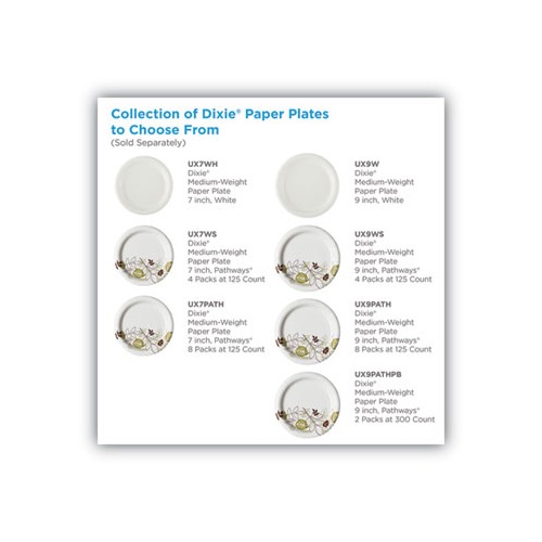 Dixie Pathways 9 Medium-weight Paper Plates by GP Pro DXEUX9PATH