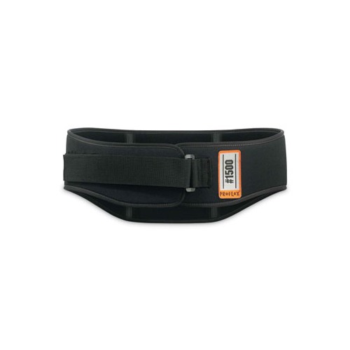 ProFlex 1600 Standard Elastic Back Support Brace, 2X-Large, 42