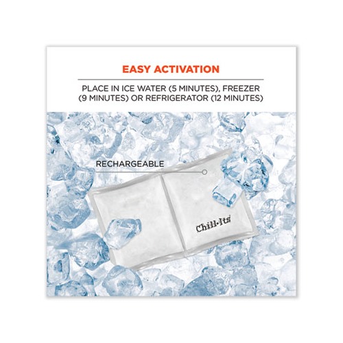 Chill-Its 6283 Rechargeable Phase Change Ice Pack, 3 x 6, Ships in 1-3 Business Days