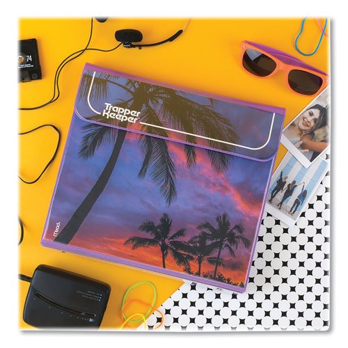 Binder Organizer Vintage LISA FRANK Mardi Gras Clown 3-Ring Binder ...