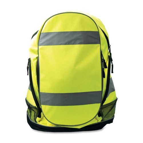 KeepSafe Carrying Case (Backpack) for Accessories - Lime Green ...