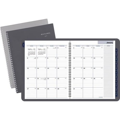 At-A-Glance DayMinder Monthly Planner - AAGGC47010 - Shoplet.com