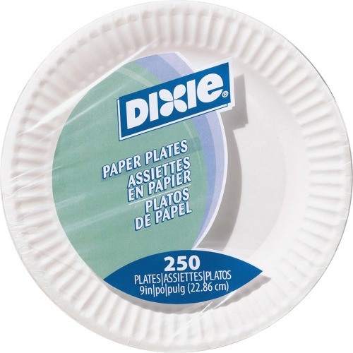 Dixie 9" Economy White Paper Plates DXEWNP9ODCT
