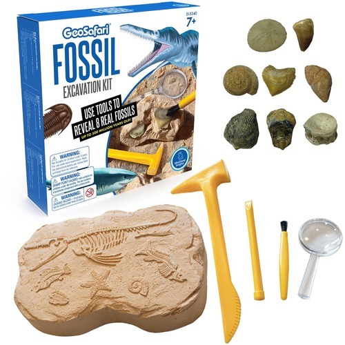 GeoSafari Fossil Excavation Kit - Theme/Subject: Fun - Skill Learning: Paleontology, STEM, Fossil - 7-12 Year - 1 Each GeoSafari Fossil Excavation Kit - Theme/Subject: Fun - Skill Learning: Paleontology, STEM, Fossil - 7-12 Year - 1 Each