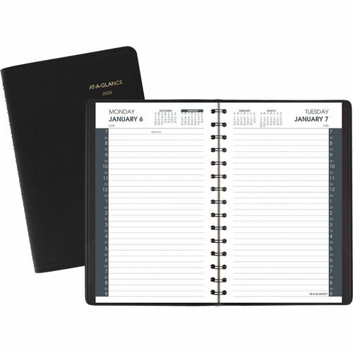 At A Glance Daily Appointment Book AAG7020705 Shoplet