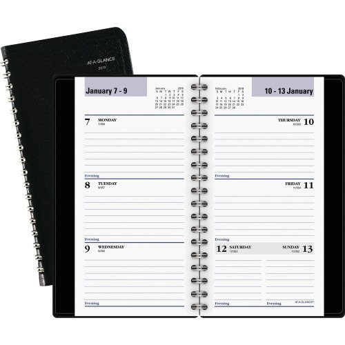 At-A-Glance DayMinder Pocket Weekly Appointment Book - AAGG23200 ...