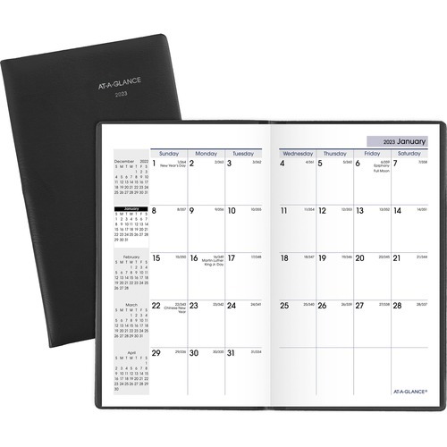 AtAGlance DayMinder Monthly Pocket Planner AAGSK5300