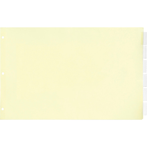 Legal Landscape Color Blank Tabs, 6 Per Set, for Landscape or Horizontal  Binders, for Legal Size Paper, 5 Hole Punched.