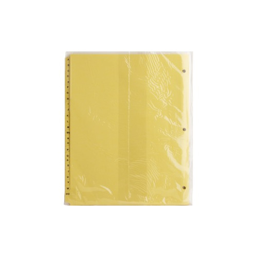 Business Source AZ Clear Plastic Tab Index Dividers BSN01806