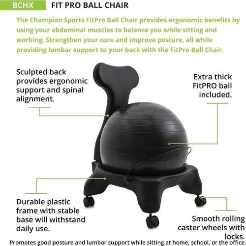 Ball chair discount with back support