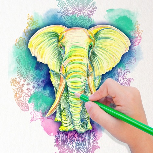 ◆BLUE ELEPHANT◆ LATRIX crayon 5004838283 MUSINSA公式 | BLUE ELEPHANT LATRIX crayon