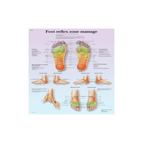 Fabrication Enterprises, Inc. Anatomical chart: foot massage, reflex ...