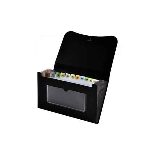 Lion Office Products, Inc 13pocket Small Expanding File LIO94300BKCT